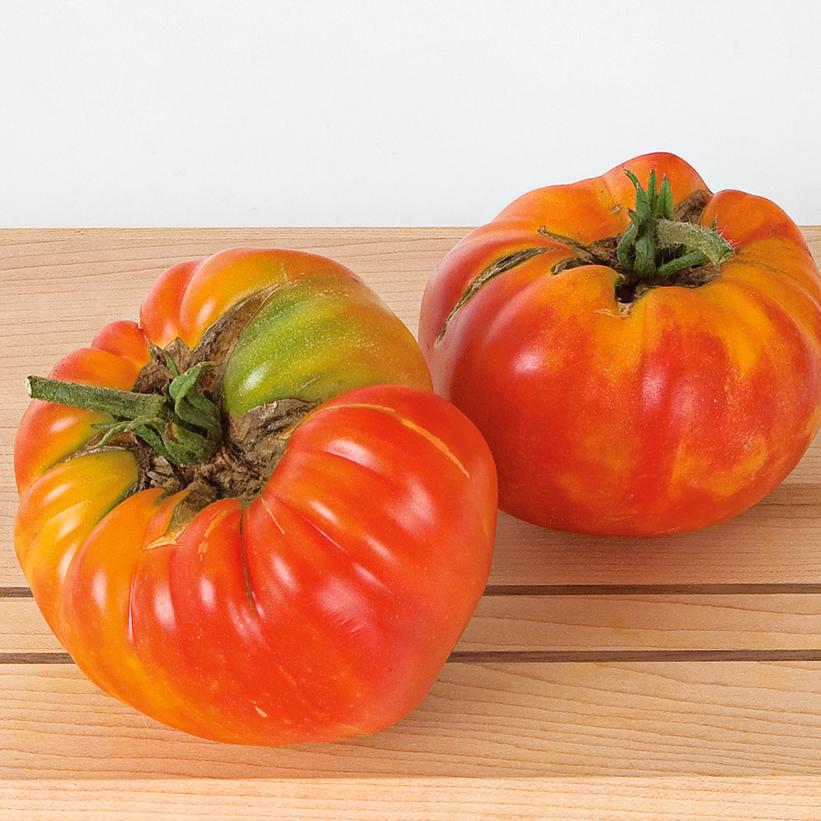 Tomato 'Striped German'