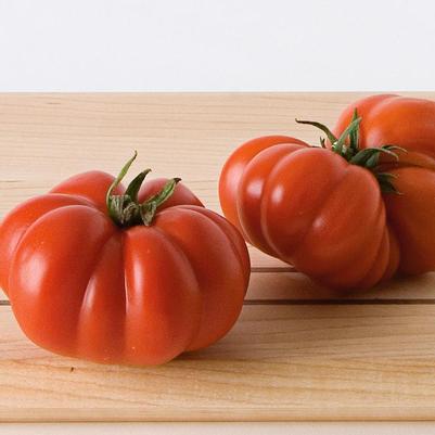 Tomato Costoluto Genovese