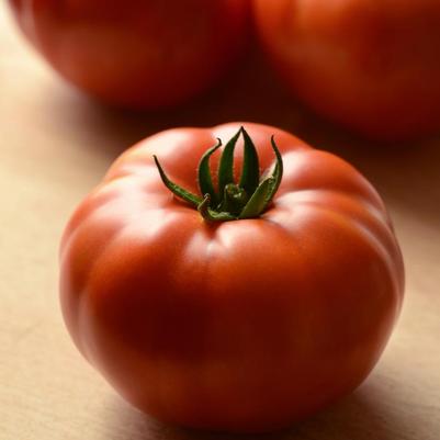 Tomato Heirloom Marriage™ Genuwine